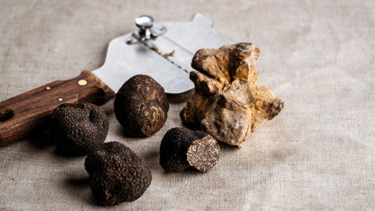 Article de blog sur la truffe